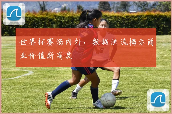 世界杯赛场内外，数据洪流揭示商业价值新高度